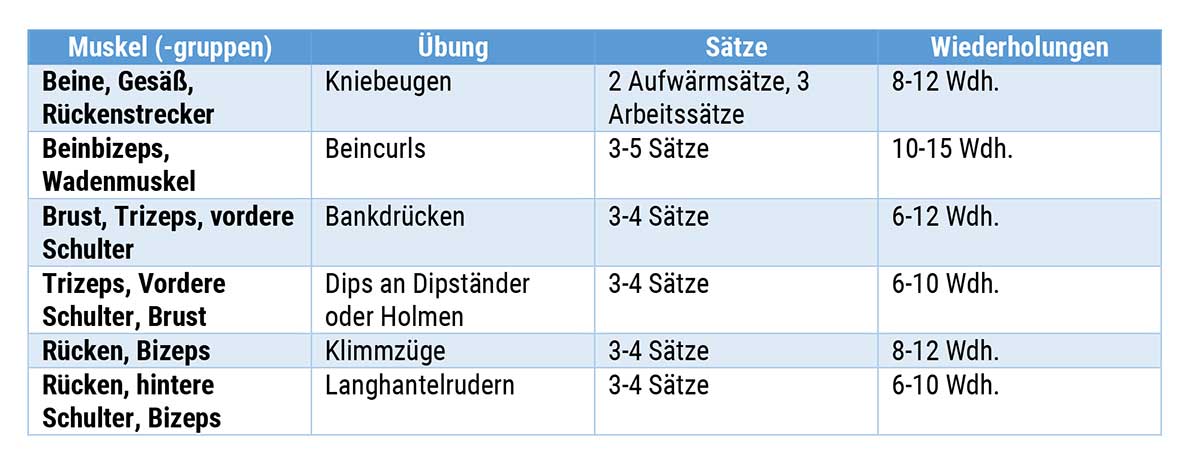 Bild zeigt den Ganzkörpertrainingsplan für Männer