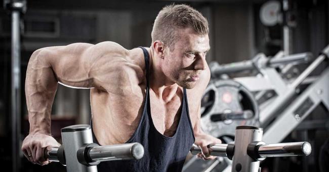 Bild zeigt Sportler bei der Dips Übung