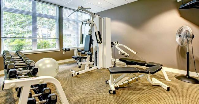 Bild zeigt ein gut eingerichtetes Home-Gym