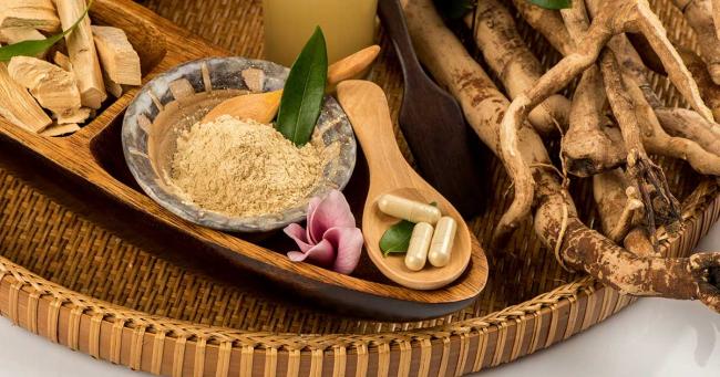 Tongkat-Ali-Wurzel (Eurycoma longifolia) mit Pulver und Kapseln