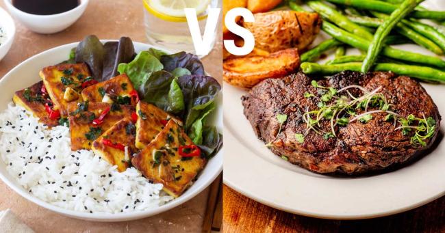 Tofu mit Reis und Steak mit Gemüse im direkten Vergleich als Proteinquellen für Muskelaufbau
