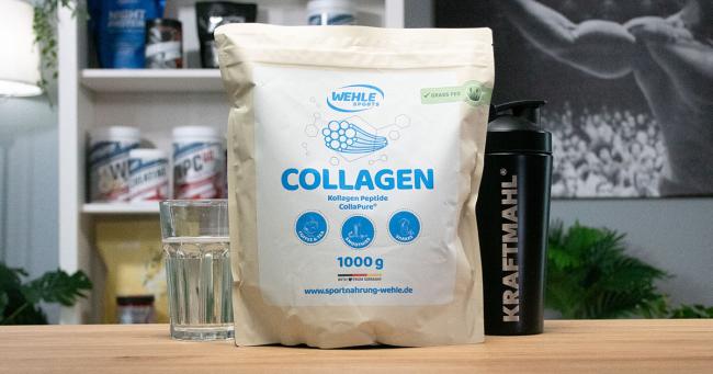 WEHLE Sportnahrung Collagen mit CollaPure® neben Wasserglas und Kraftmahl-Shaker im Praxistest